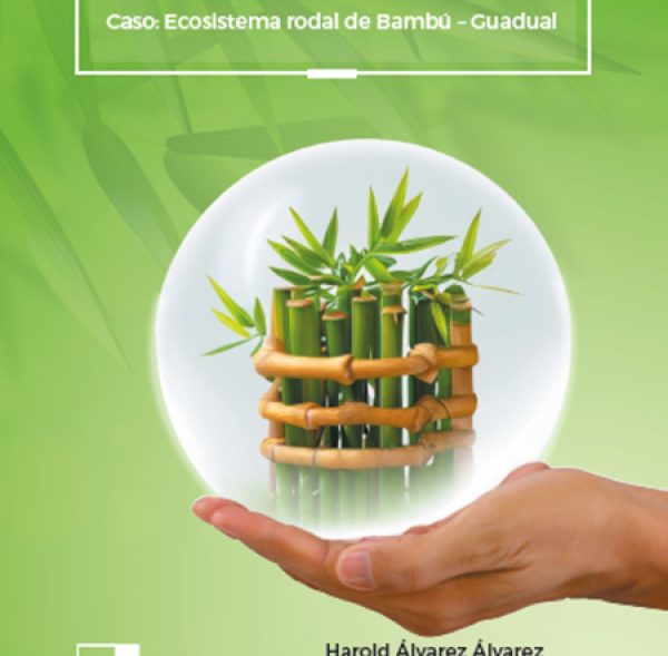 Eco-contabilidad Caso Ecosistema Rodal de Bambú – Guadual
